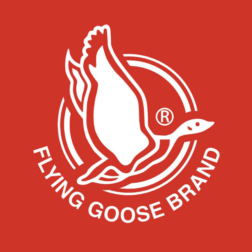 Flying Goose