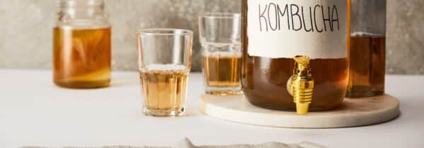 kombucha