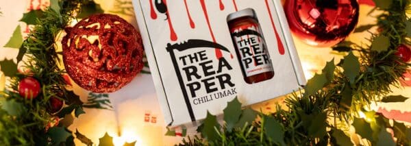 ideje za božićne poklone